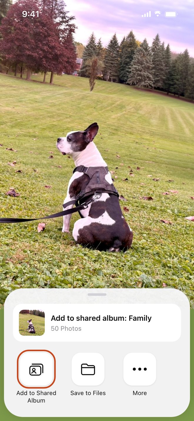 Illustration: Family: Add to Shared Album in the share sheet